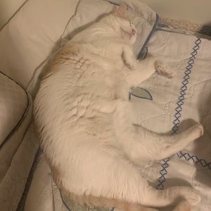 Meet your Posher, Douglas